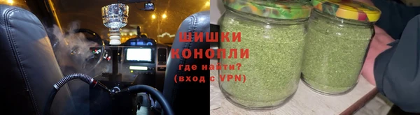 шишки Богородицк